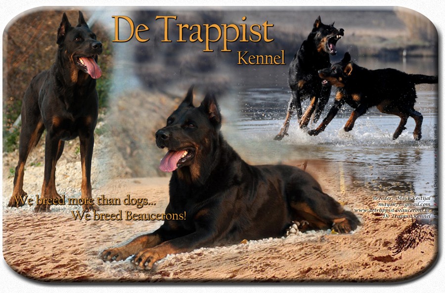www.detrappist-beaucerons.hr
